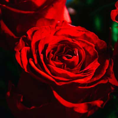 Valentine's Day Poems to Girlfriend