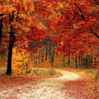 Haiku Poems About The Beauty Of Fall