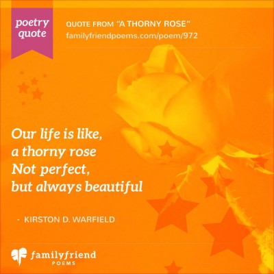Life Is Like A Thorny Rose