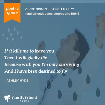Quote About Needing To Spread Wings And Fly