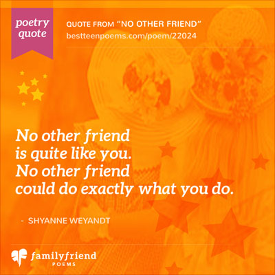 Poem About A Special Friendship, No Other Friend