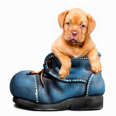 11 Short Funny Poems - Short Poems for Kids and Adults 11 Short Funny Poems - Short Poems for Kids and Adults
