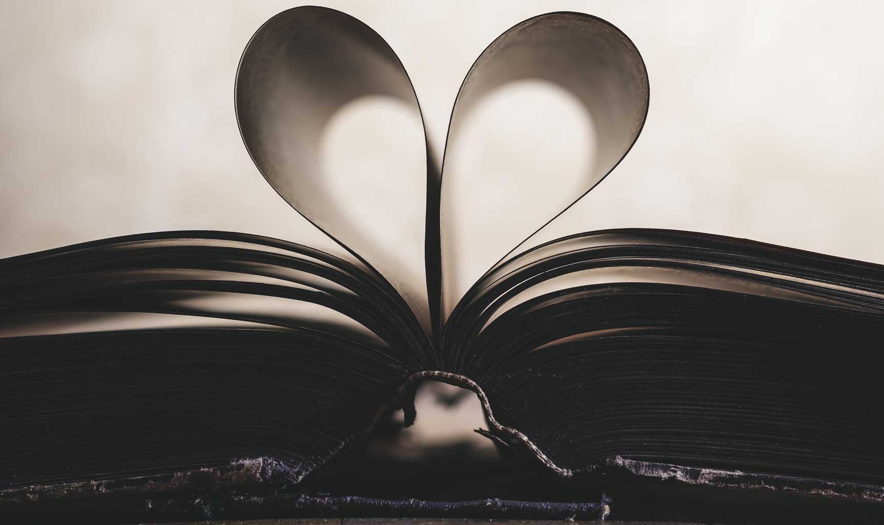 meaning of the poem the choice by robert morgan