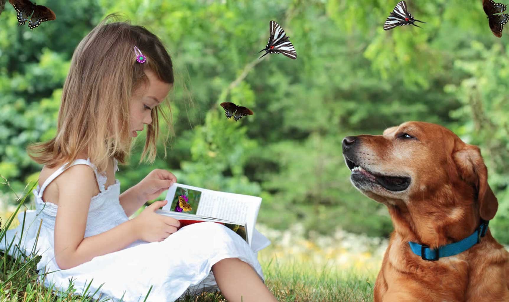 23 Pet Friend Poems - Poems on the Joys of Dogs, Cats & Animal Friends