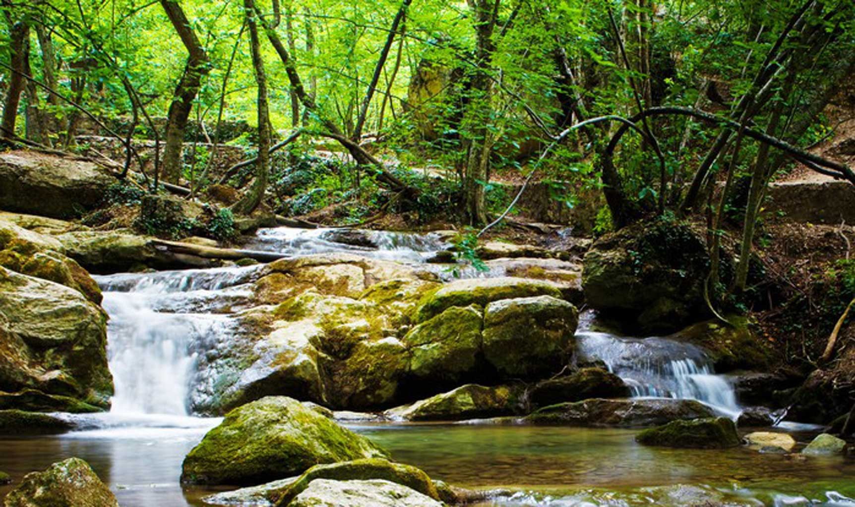 54 Beauty of Nature Poems Beautiful Poems about Nature 54 Beauty of Nature Poems Beautiful Poems about Nature