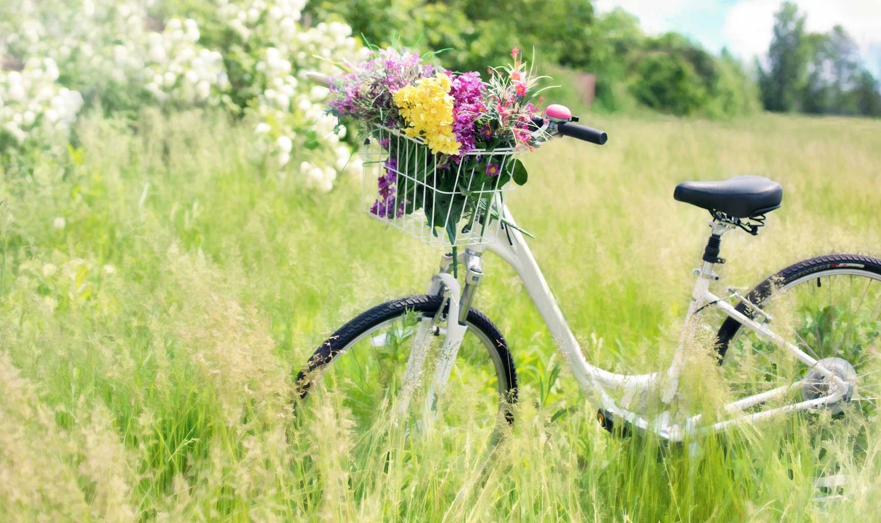 Afbeeldingsresultaat voor spring