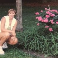 Susan Vidd