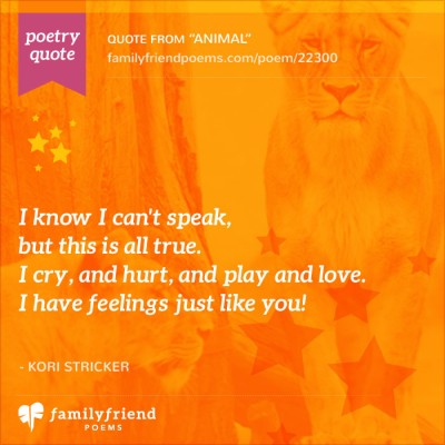 Poem About Animals Having Feelings, Animal