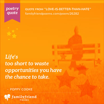 Poem About Living A Full Life, Love Is Better Than Hate
