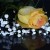 Sympathy Poems